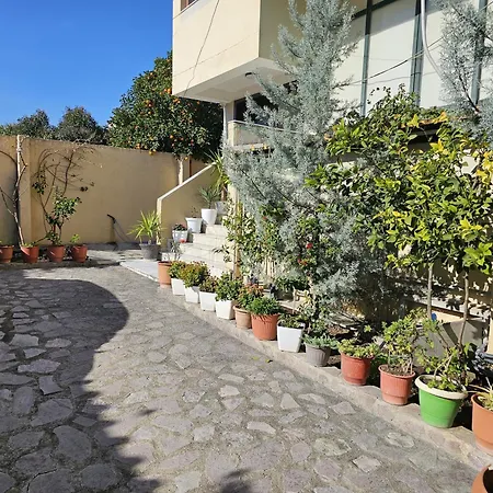 Dion Apartamento *